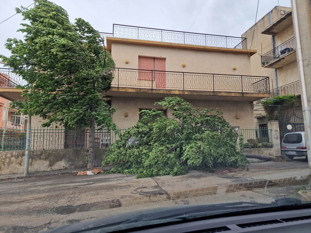 albero caduto Via Baraccone a Gallina
