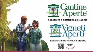 cantine aperte calabria