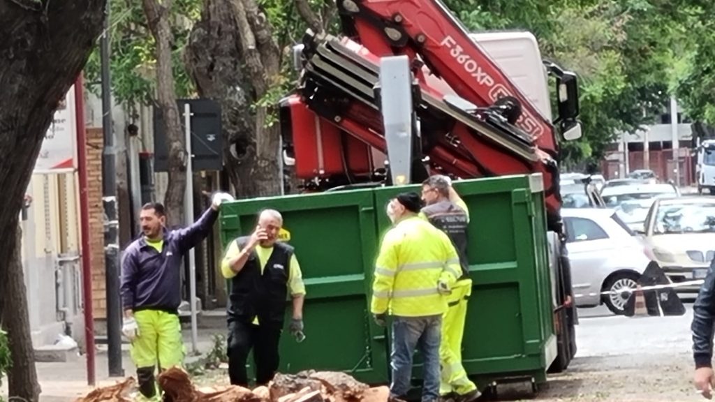 potatura alberi via galilei