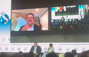 salvini in collegamento a taormina