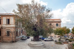 san lorenzo