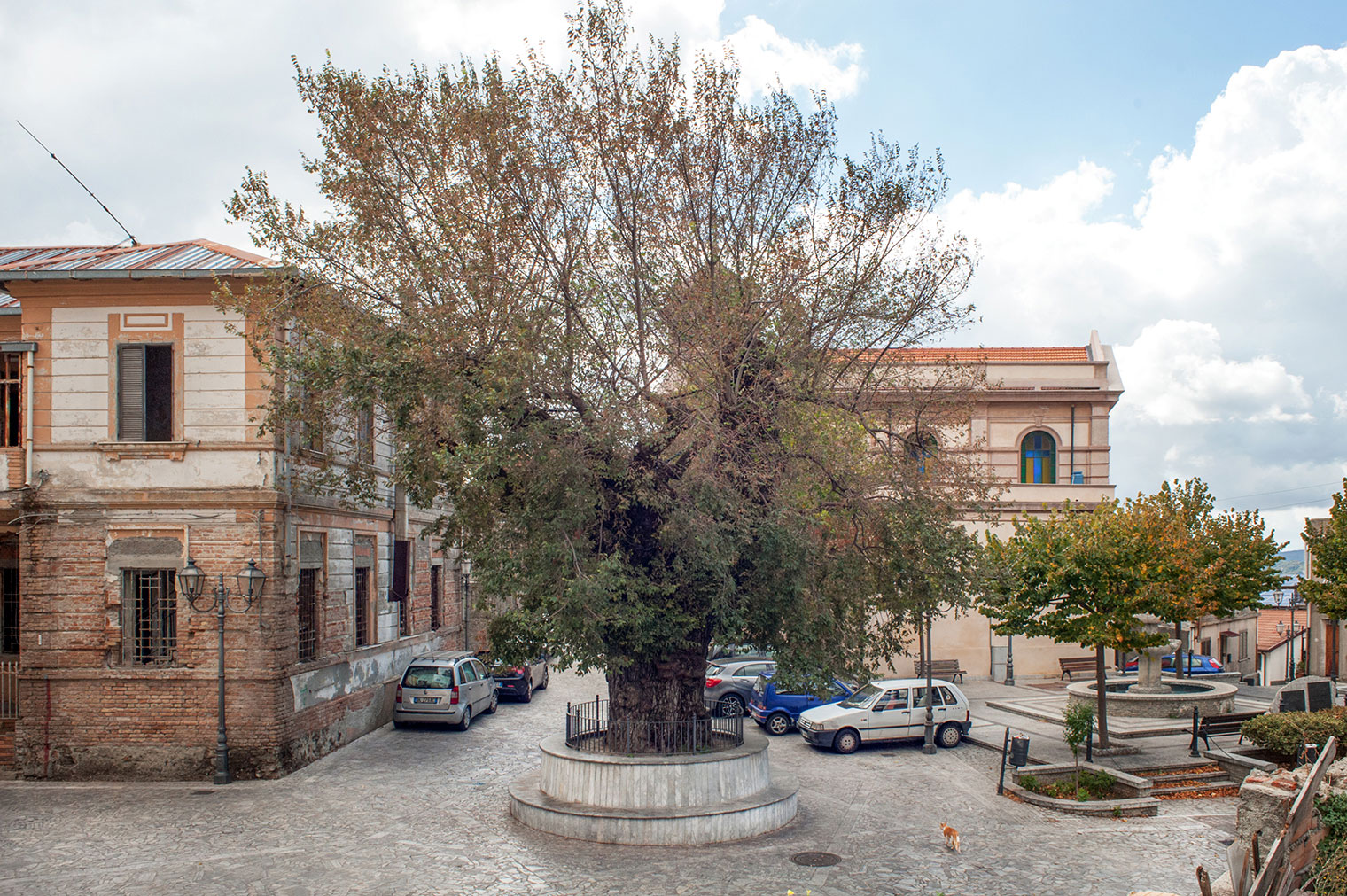 san lorenzo