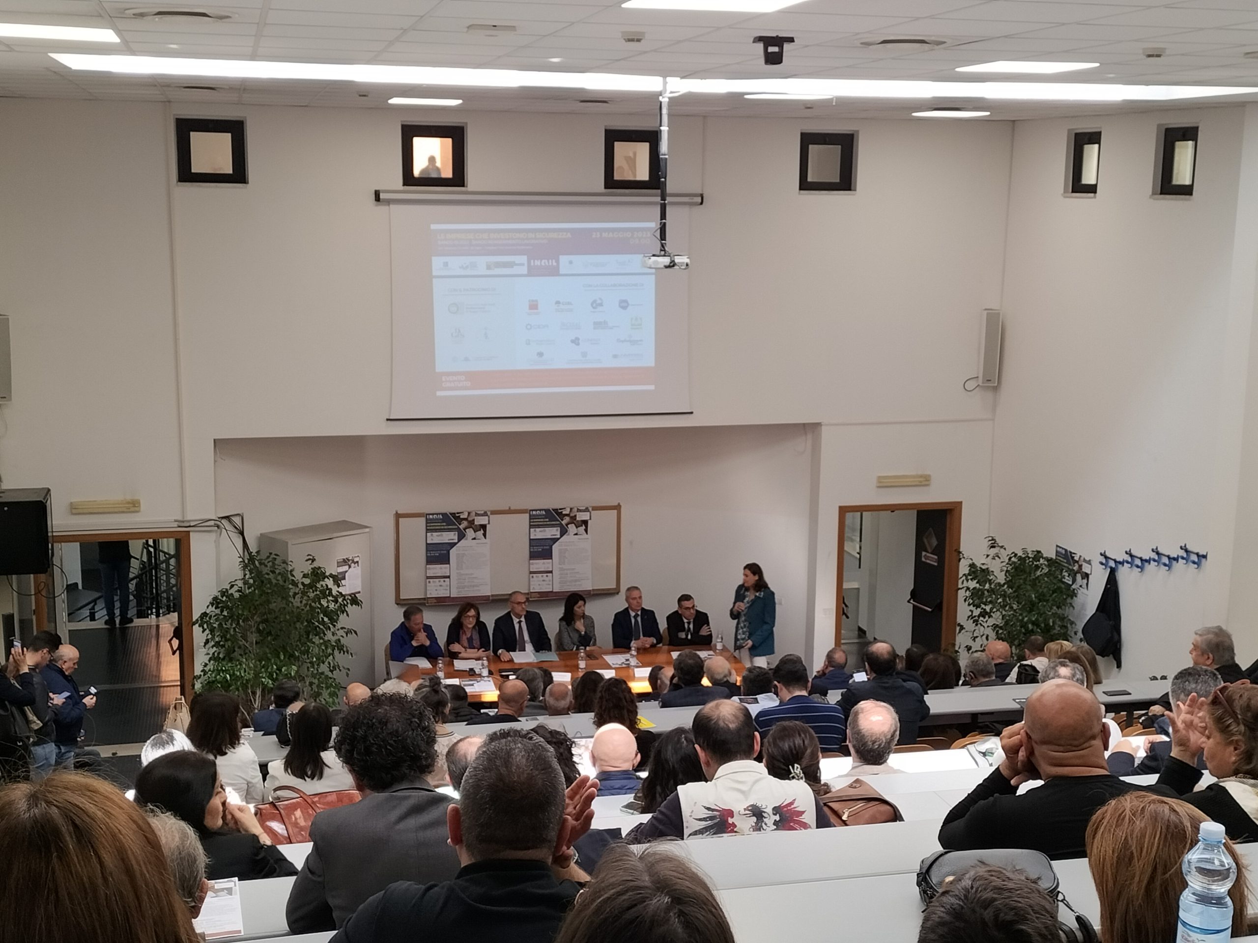 università mediterranea