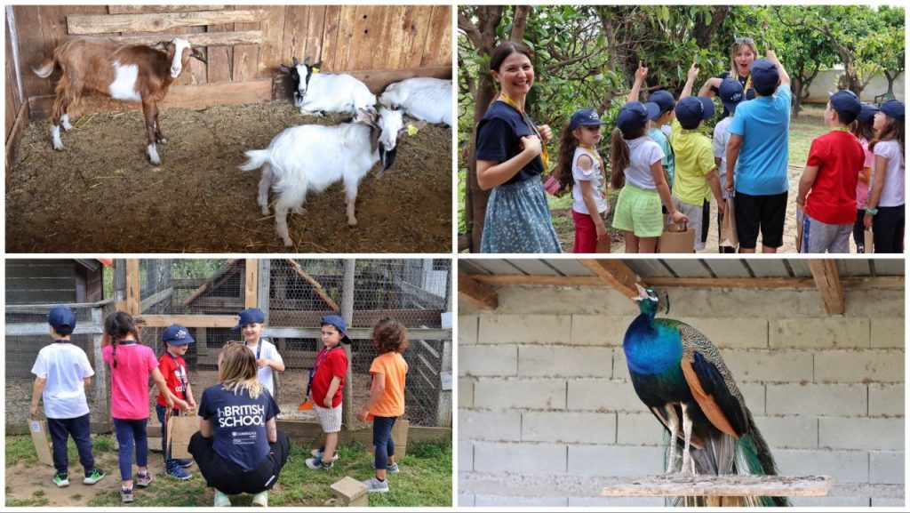 British School Fattoria Sociale Catona