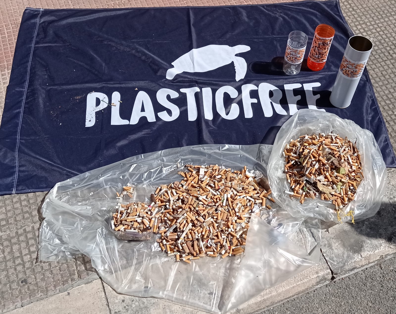 Plastic Free Giornata dell’Ambiente12
