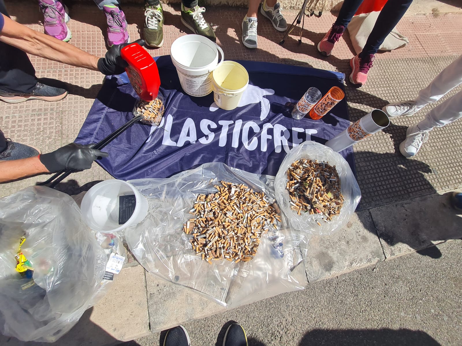 Plastic Free Giornata dell’Ambiente15