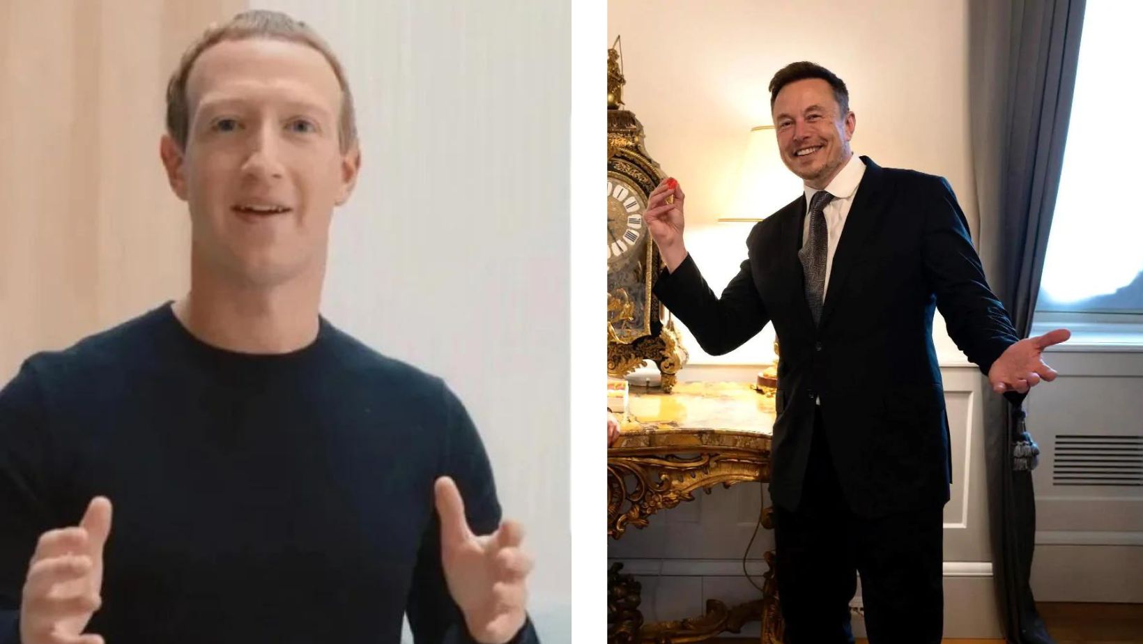 Combo musk zuckerberg