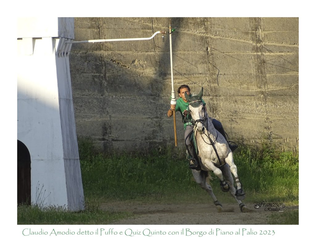 palio di bisignano