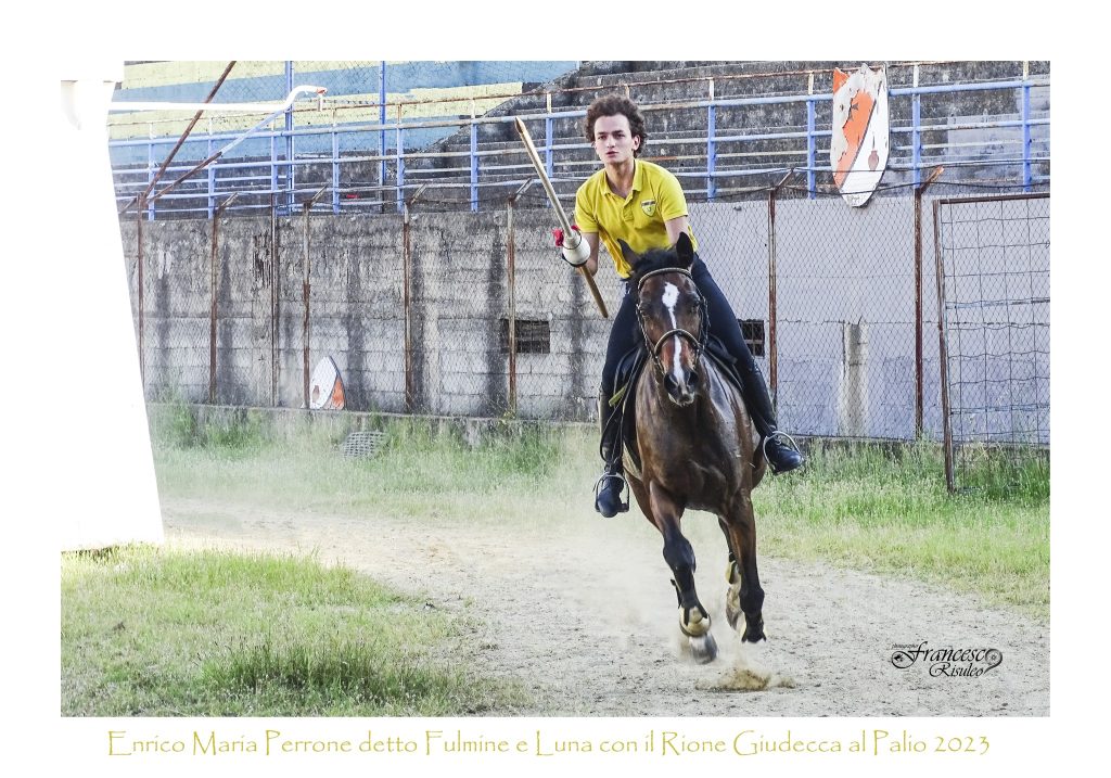 palio di bisignano