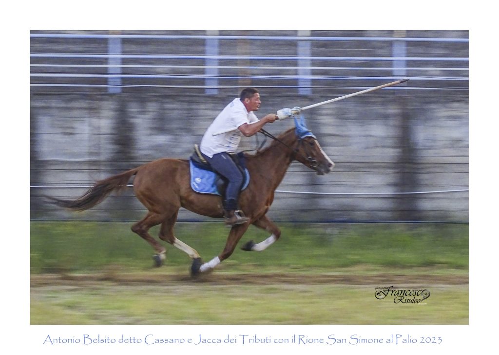 palio di bisignano