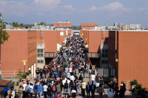 unical ponte carrabile