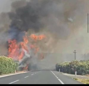 Incendio autostrada messina
