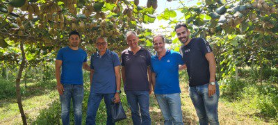 Apofruit calabria