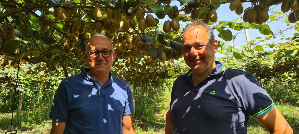 Apofruit calabria