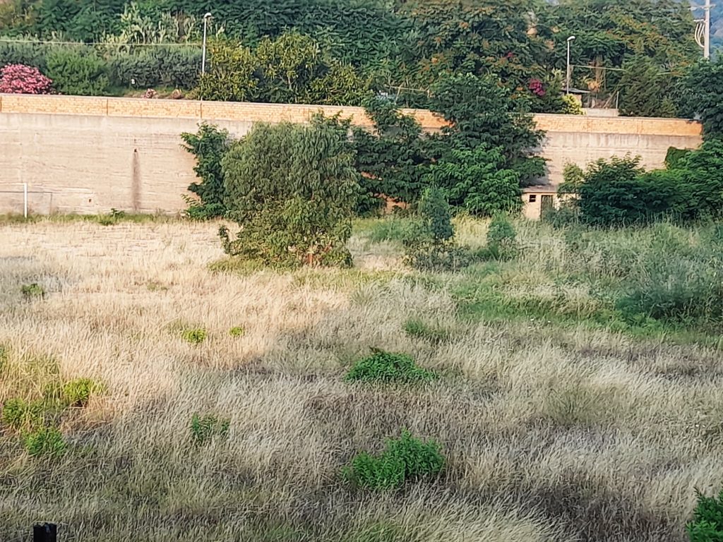 Ex campo sportivo Mosorrofa (1)