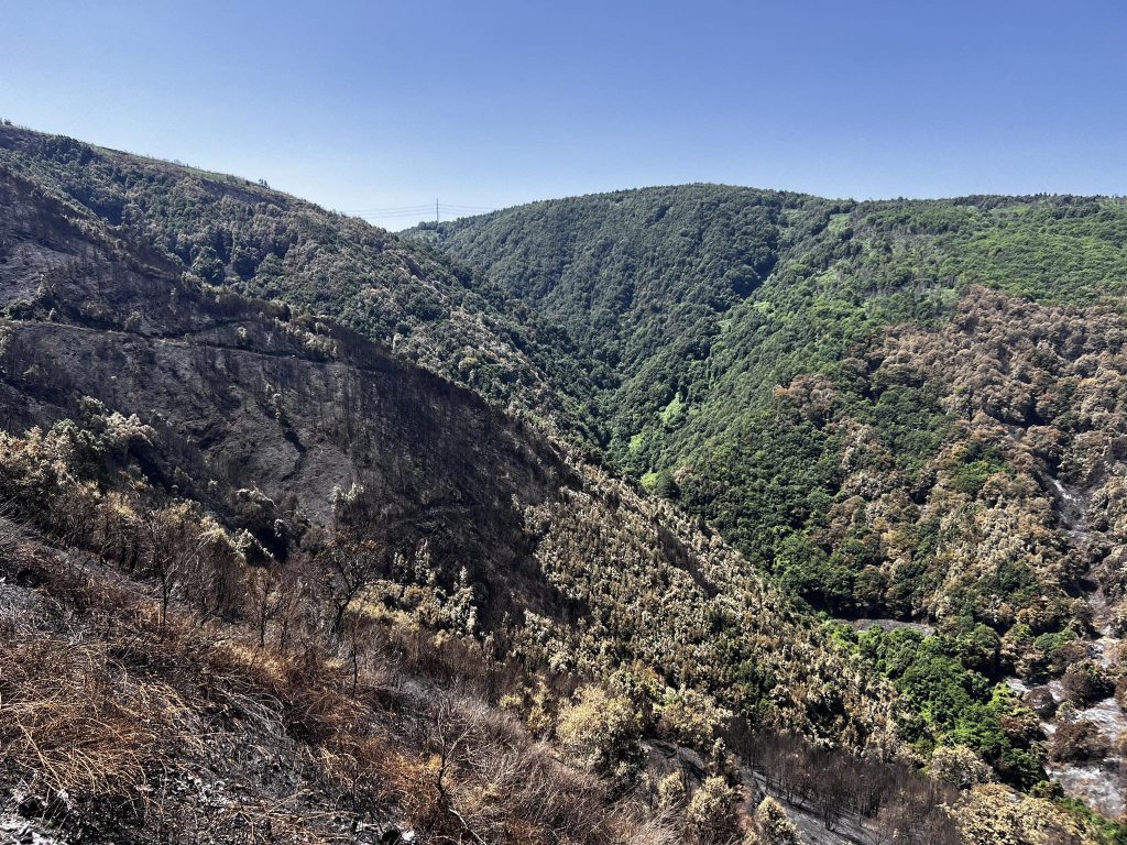 Incendio sant'eufemia