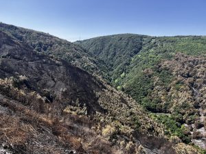 Incendio sant'eufemia