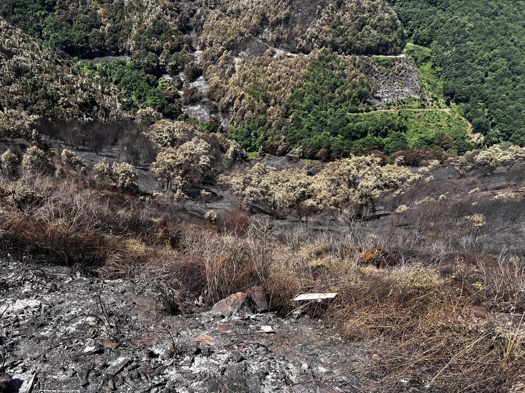 Incendio aspromonte