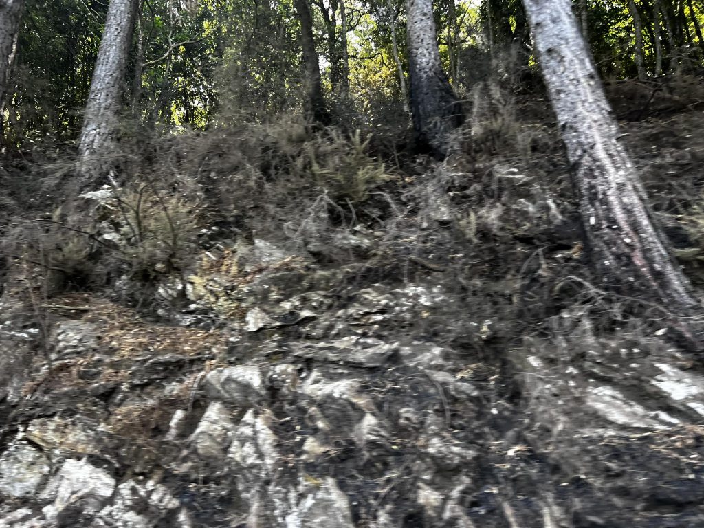 Incendio sant'eufemia