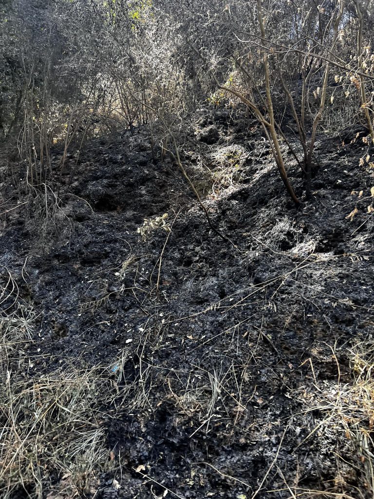 Incendio aspromonte