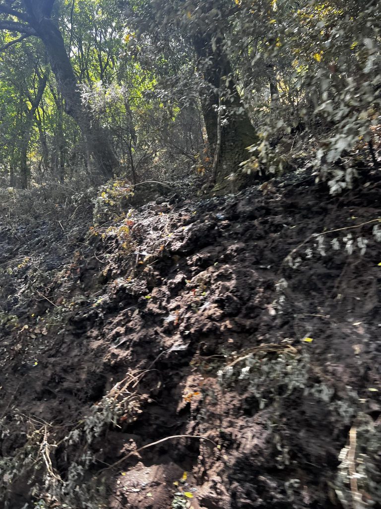 Incendio sant'eufemia