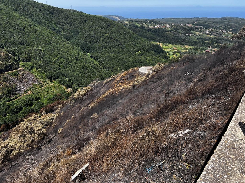 Incendio aspromonte