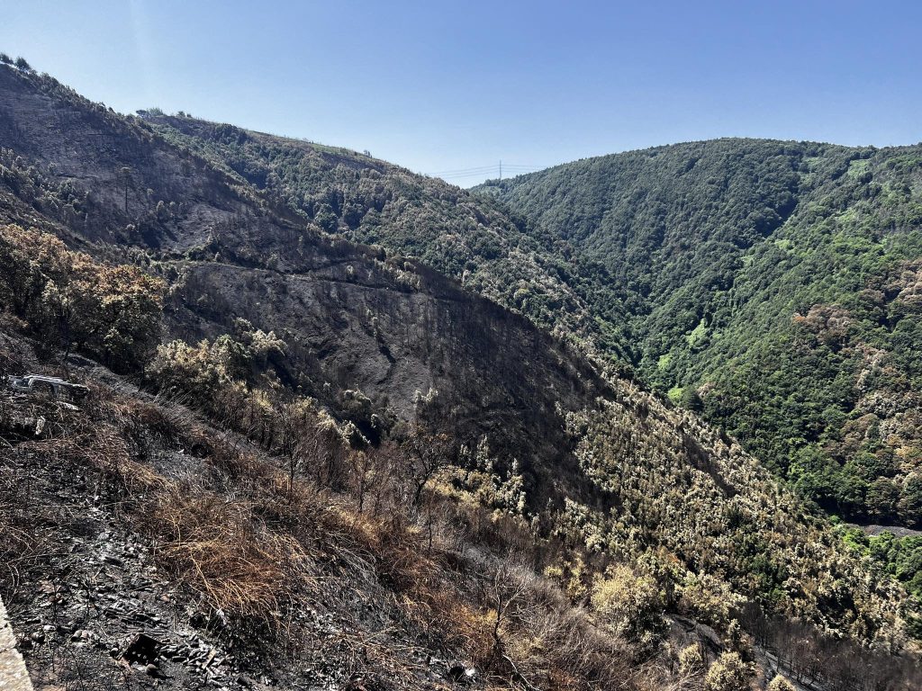 Incendio aspromonte