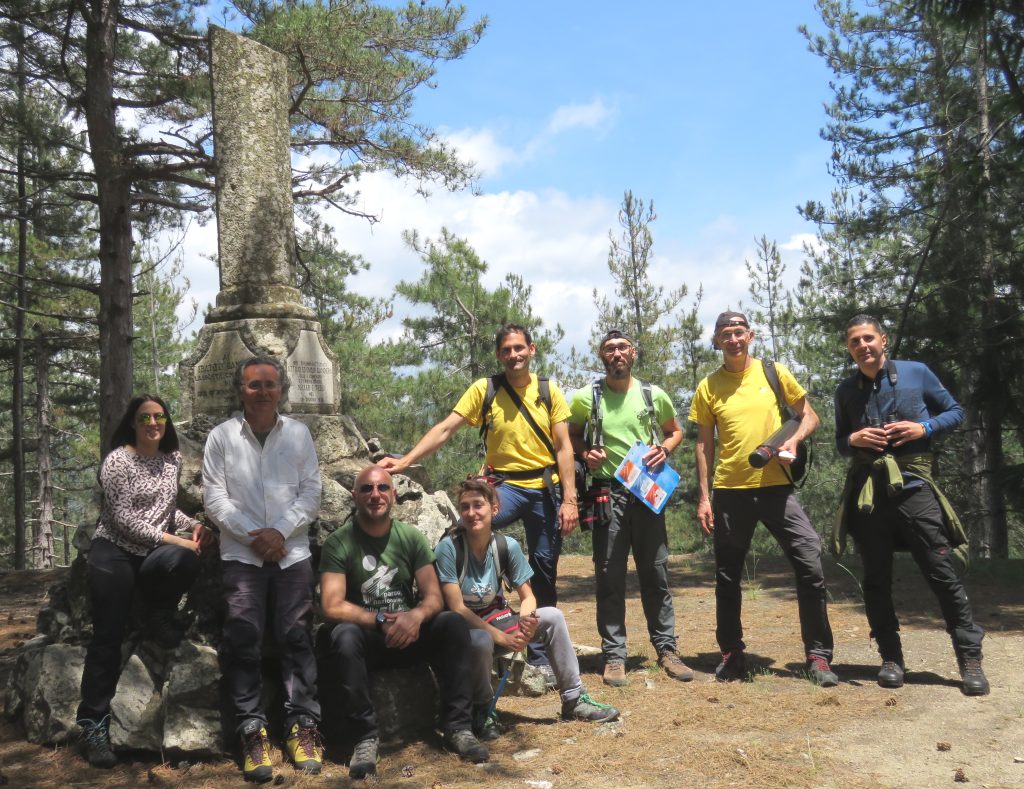 Studio Processionaria Pino - Sila