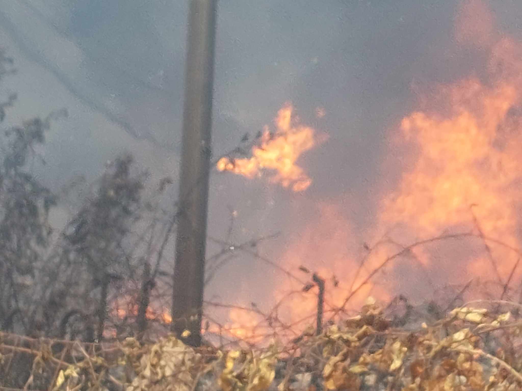 incendio cinquefrondi (3)