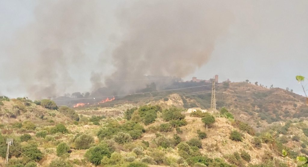 incendio colline reggio