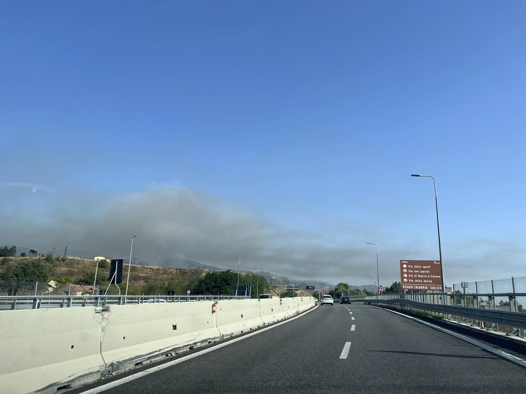 incendio colline reggio