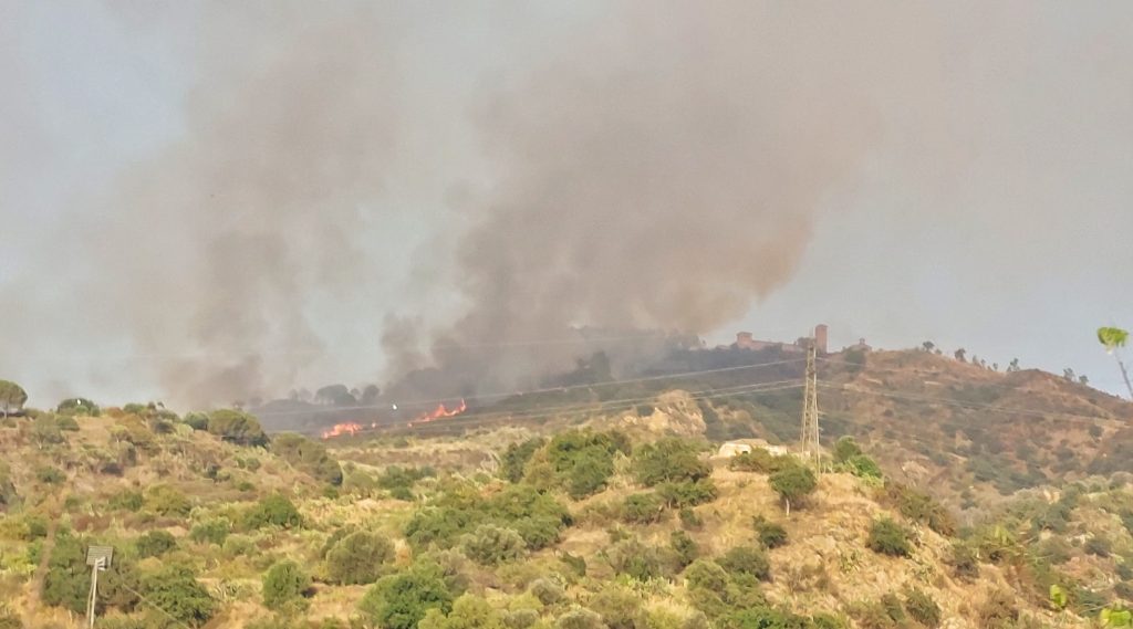 incendio colline reggio