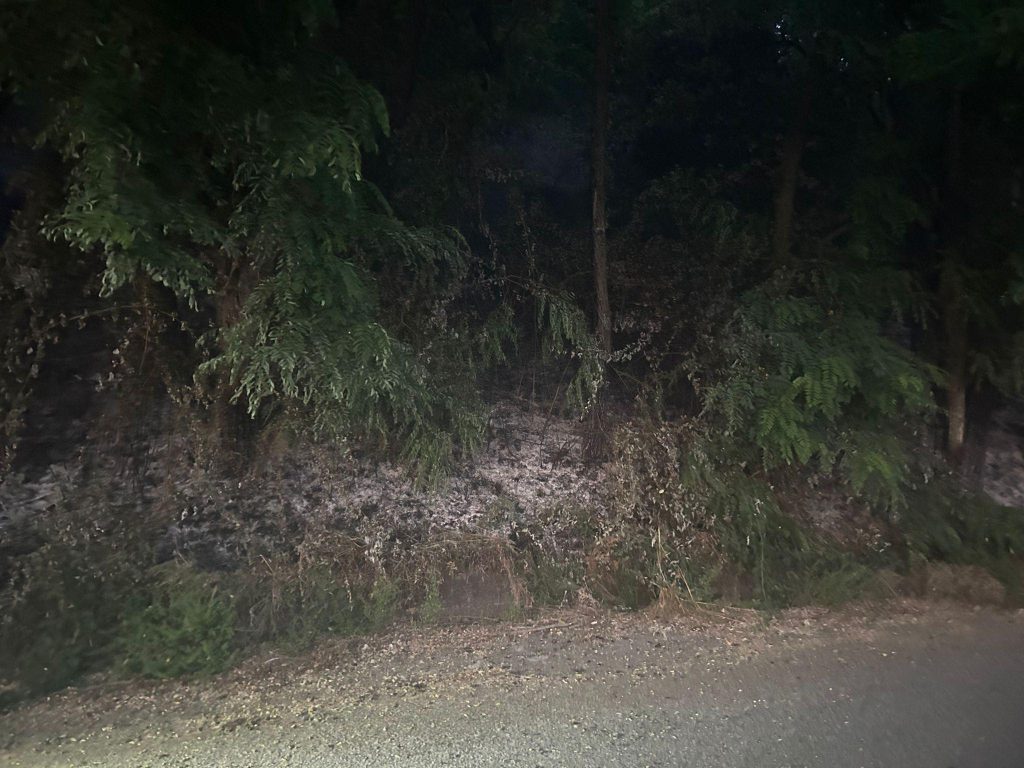 incendio sant'eufemia