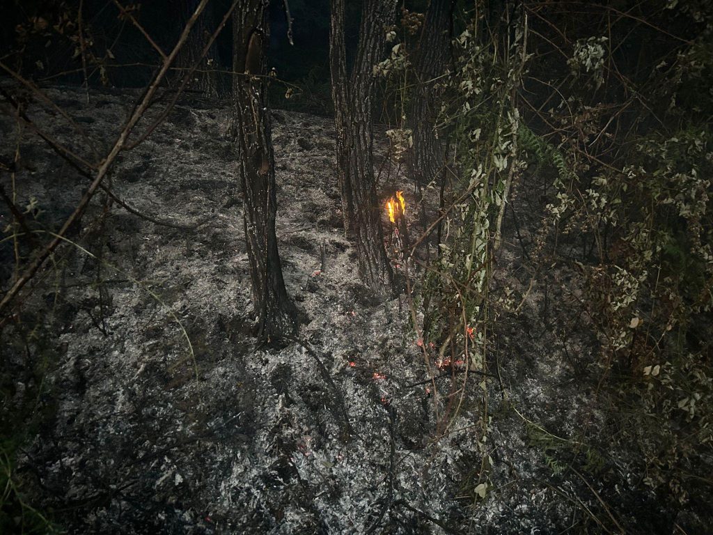 incendio sant'eufemia