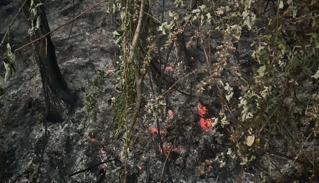 incendio sant'eufemia