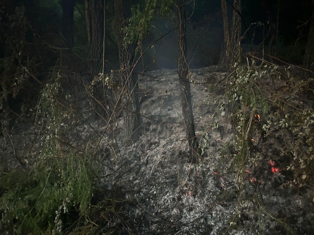 incendio sant'eufemia