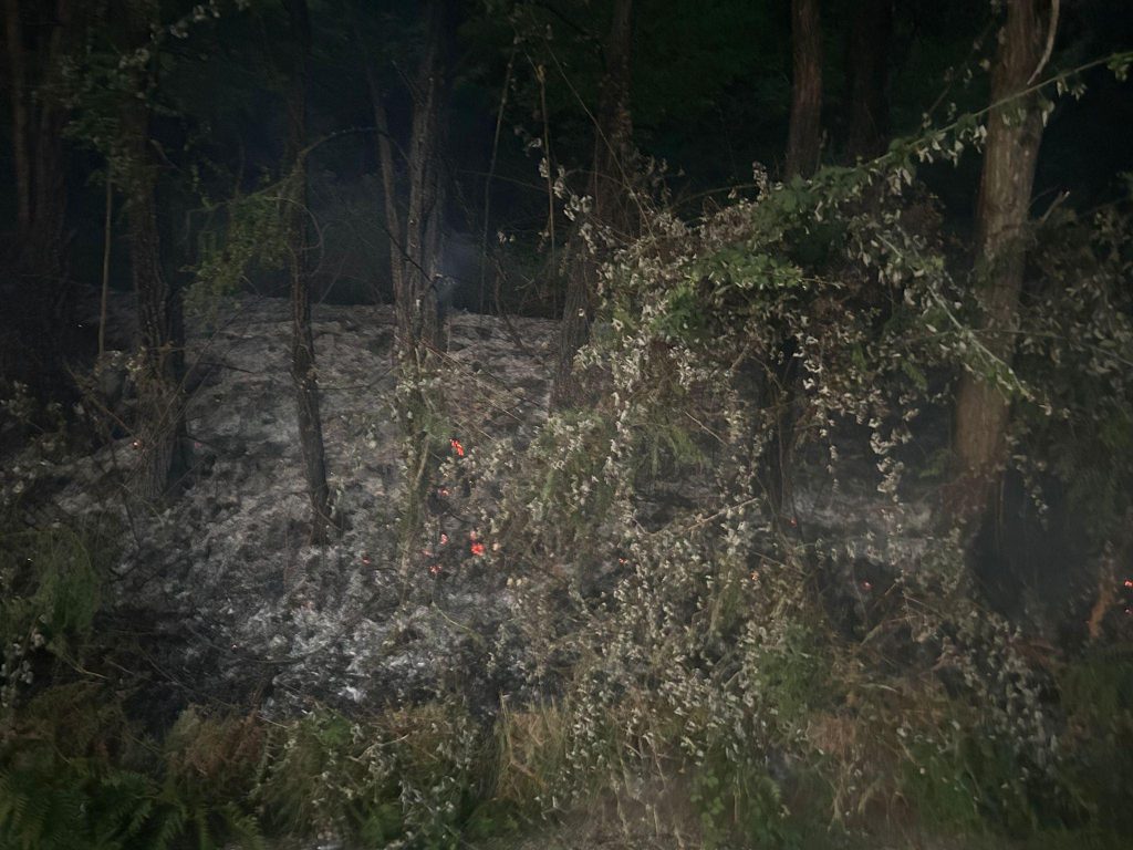 incendio sant'eufemia