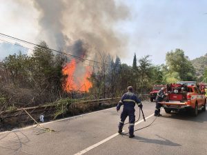 incendio trappitello