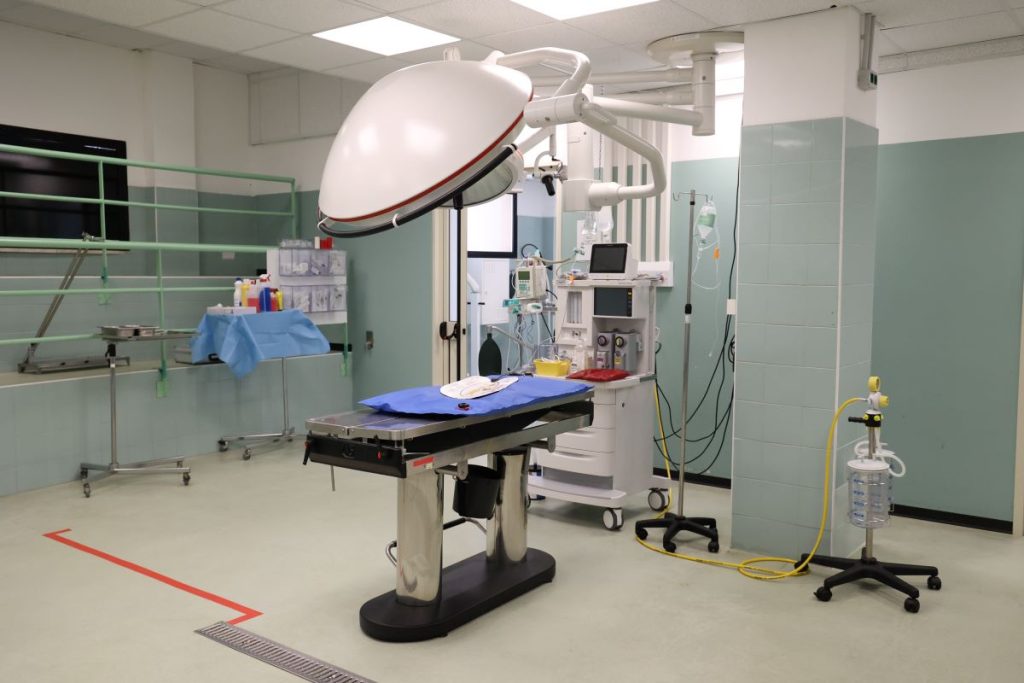 medicina veterinaria