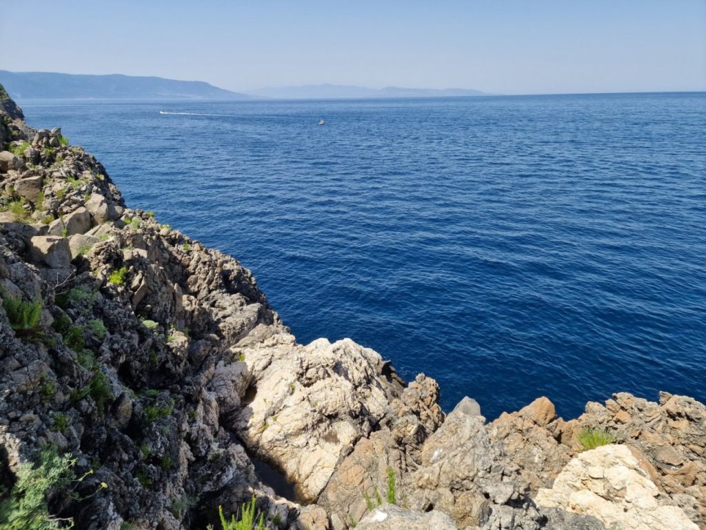 palmi