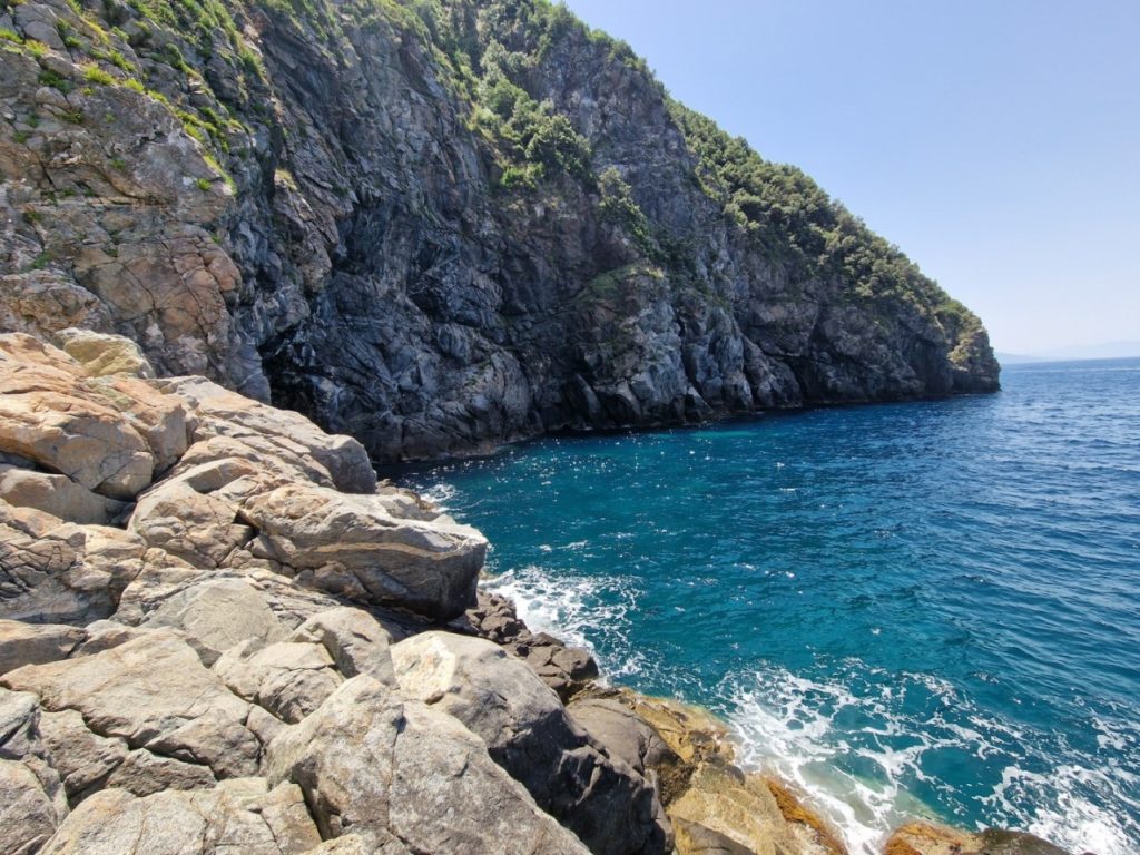 palmi