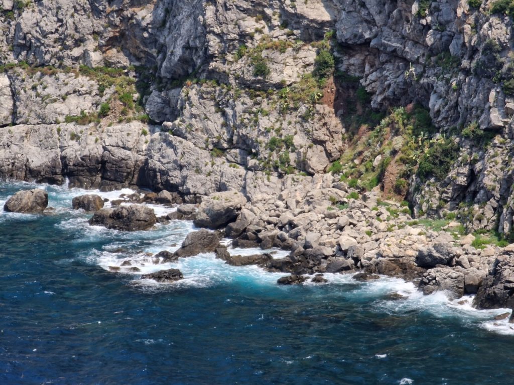 palmi