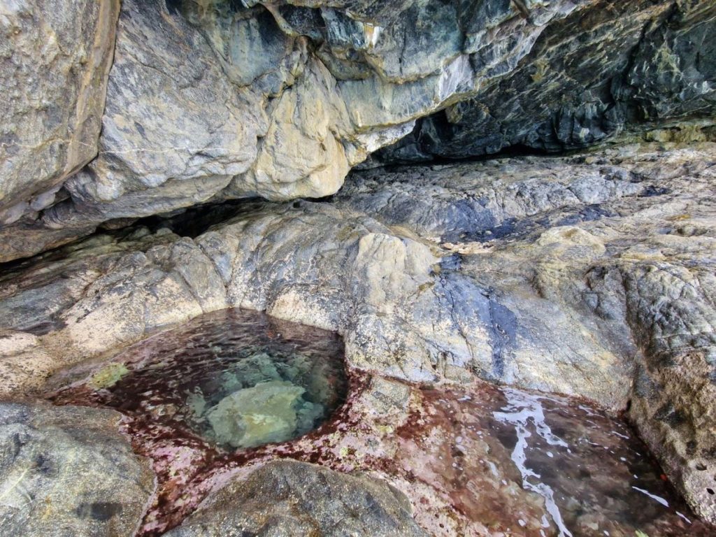 palmi