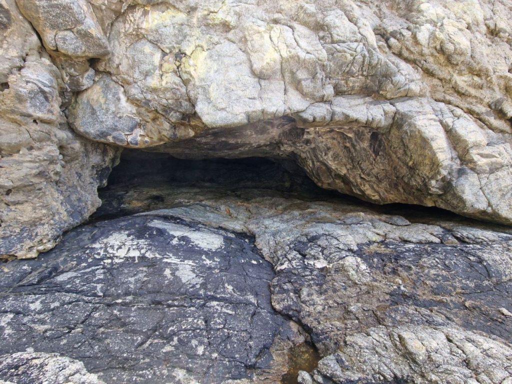 palmi