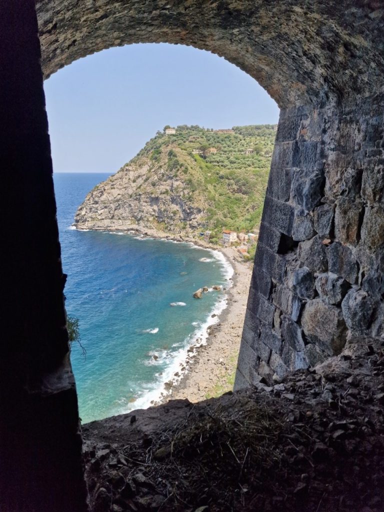 palmi
