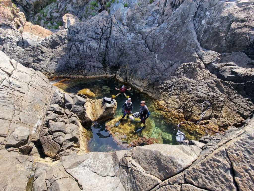 palmi