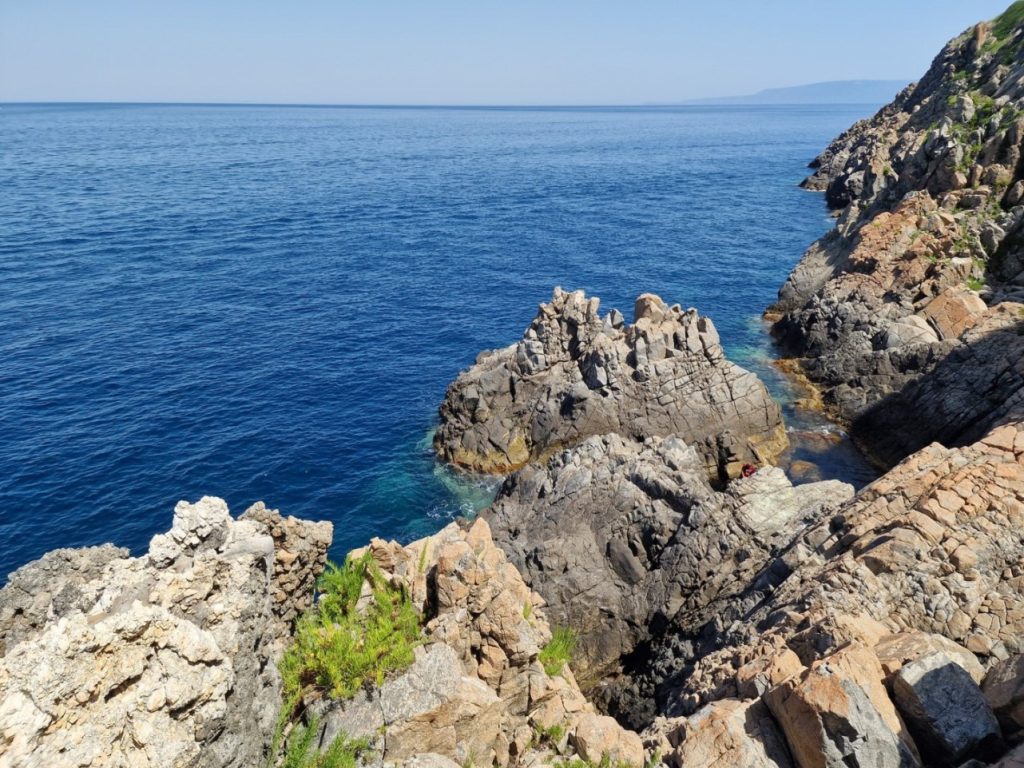 palmi