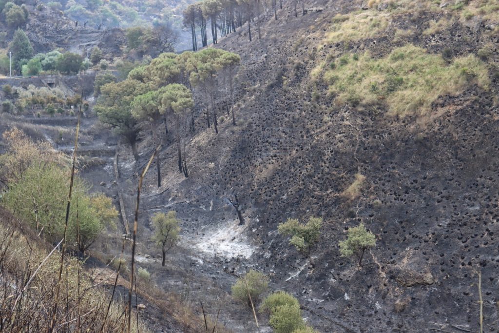 post incendio mosorrofa