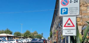 Cefalù cartello animali