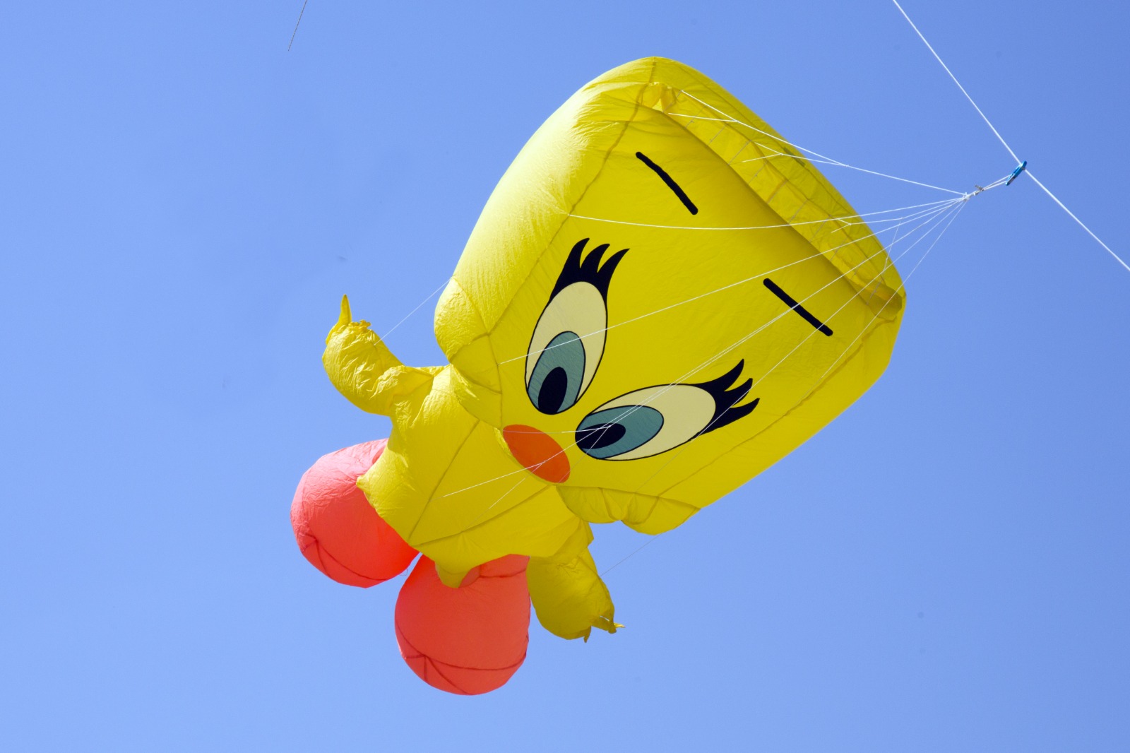 Festival degli Aquiloni (9)